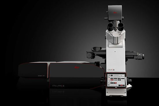 Picture of Leica Stellaris 8 STED