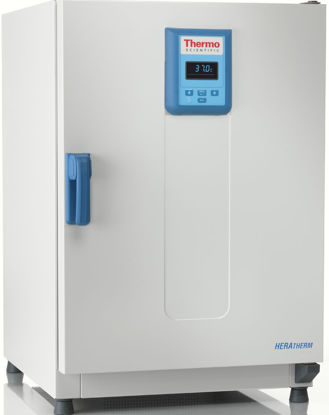 Picture of Heratherm IGS100 General Protocol Microbiological Incubator