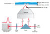 Picture of 3D Cell Culture